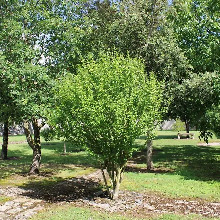 Tusson, 2 Pièces, 2 Personnes - Fr-1-653-56 Tusson